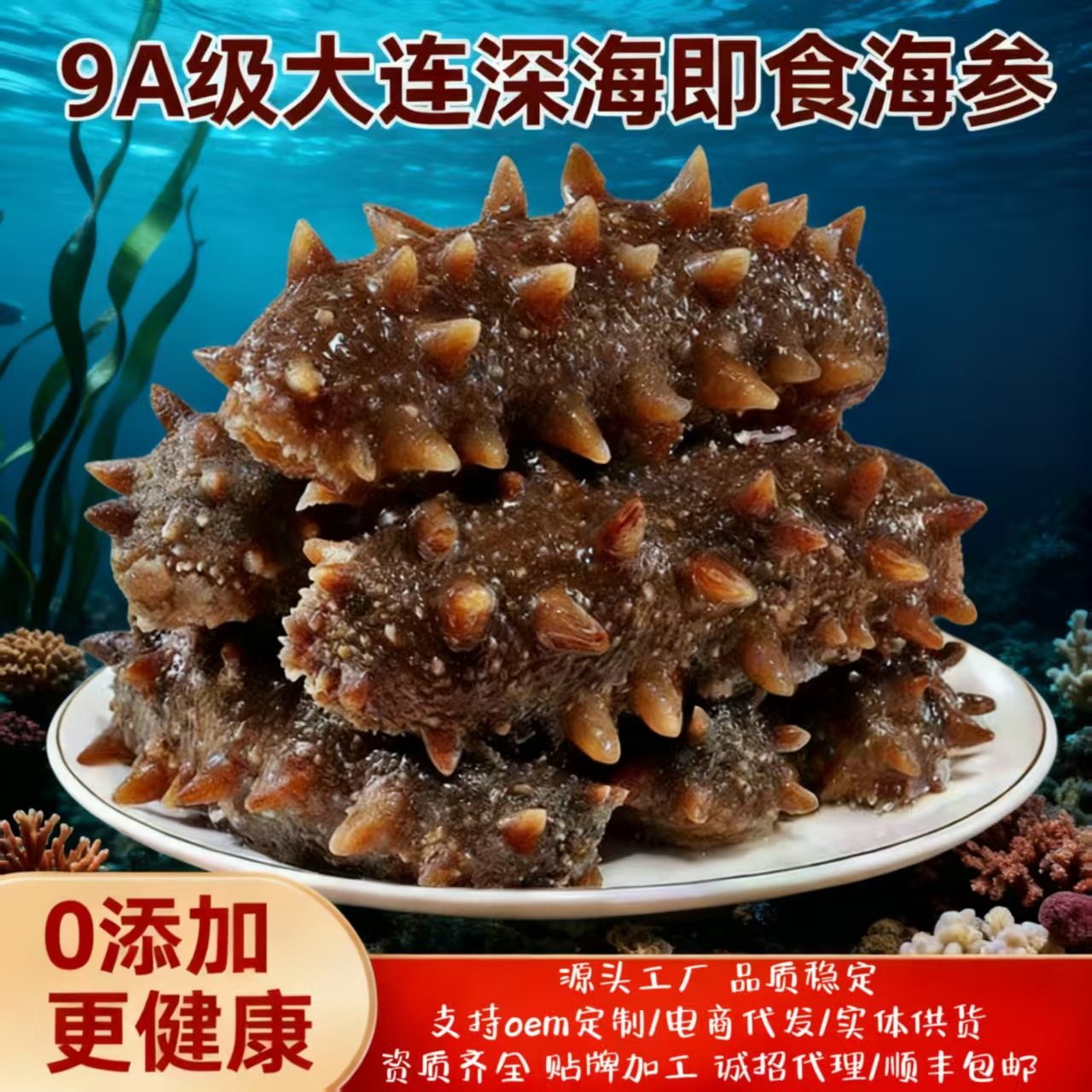 Dalian Seafood Specialty Ready-To-Eat Sea Cucumber Fresh Dried Goods Wild Sea Cucumber Individually Packaged Gift Box Wholesale