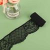 Black Lace Stretch Lace Lace Lace Underwear Clothing Lace Accessories in stock