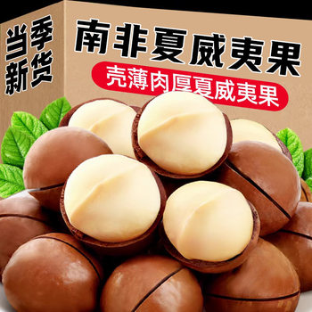 Macadamia Nuts New Arrival Milky Nuts Wholesale Snacks for Pregnant Women Dried Fruits Factory Direct Sales Macadamia Nuts Large Fruits