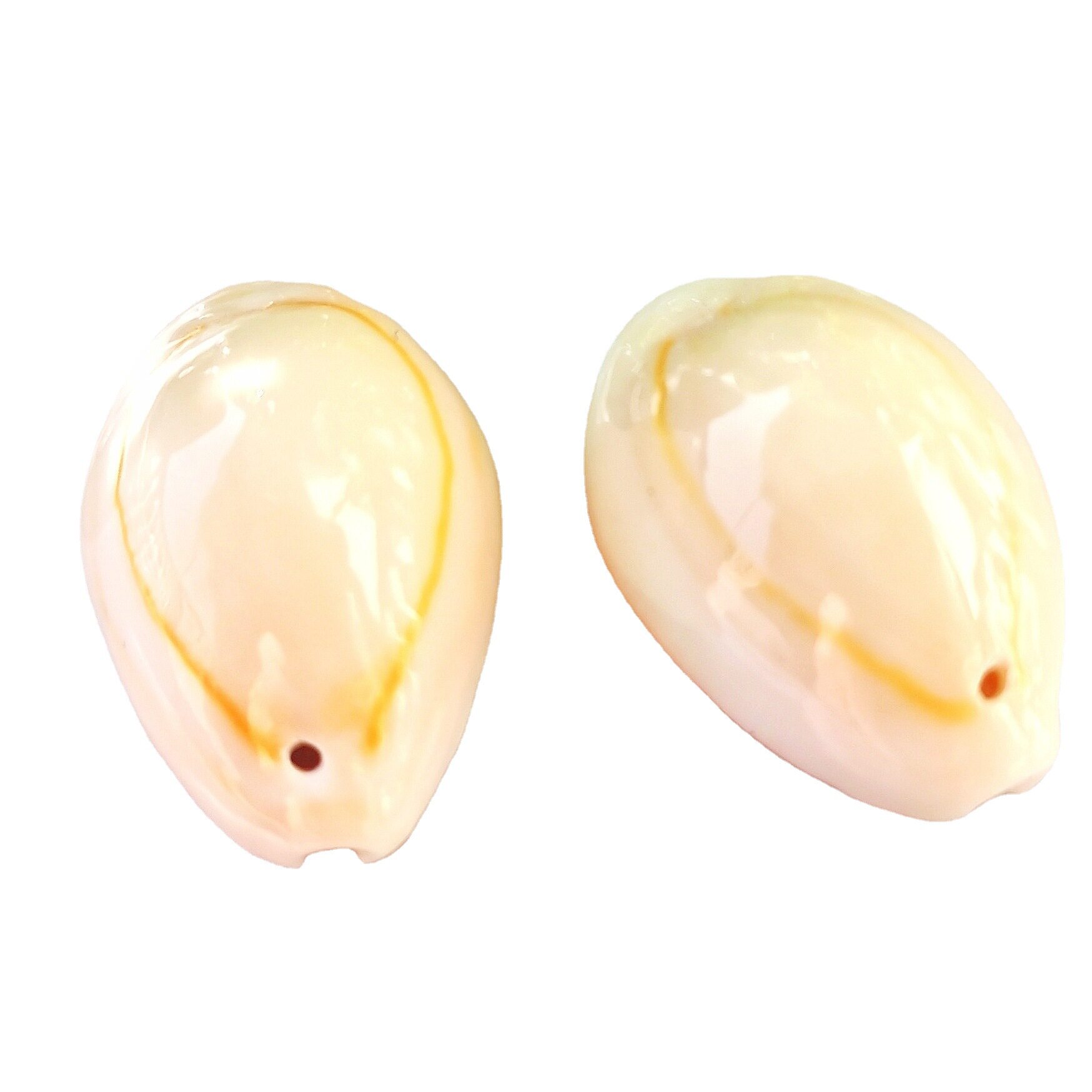 A+ High-Gloss Perforated Gold Ring Currency Gold Edge Shell Conch DIY Jewelry Bracelet Necklace Handmade Accessories Wholesale