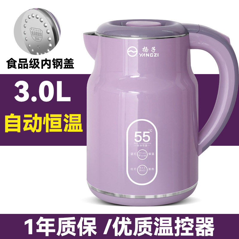 Thermostatic Electric Kettle for Home Use, Double-Layer Safety Anti-Scalding Kettle, Automatic Power-Off, Convenient Operation, Boiling Kettle