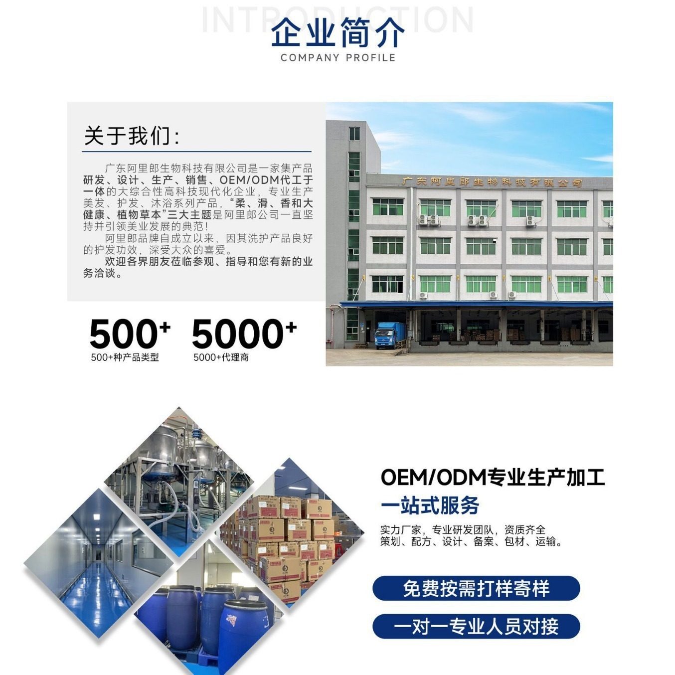 Customized Argan Oil Shampoo Argan Oil Shampoo Smooth Color Protection Shiny Moisturizing Oem