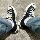 Обувь Putian, классическая парусиновая обувь Converse в патриотическом стиле 1970-х годов, мужская и женская обувь на высоком и низком каблуках, универсальная повседневная обувь для студентов mini 3