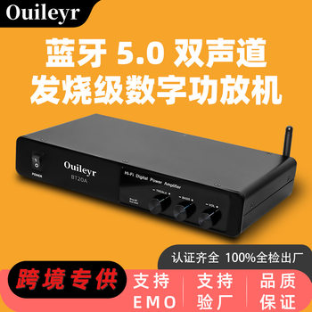 Wireless Bluetooth 5.0 Integrated Digital Amplifier Hifi Dual-Channel Bass Amplifier Wireless Bass