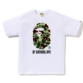 1394 white green
