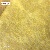 S038-y4