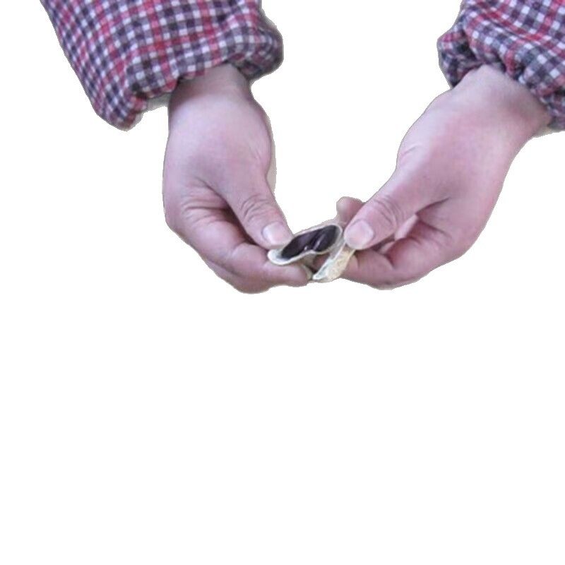 Premium Cooked Black Peanuts, New Stock, Shandong Specialty Black Peanuts, Shelled Black Peanuts Wholesale for Porridge