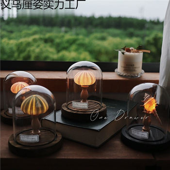 Ocean Island Retro Shell Sea Urchin Conch Lamp Night Light Ornament Handmade Material Pack Mid-Autumn Festival Gift