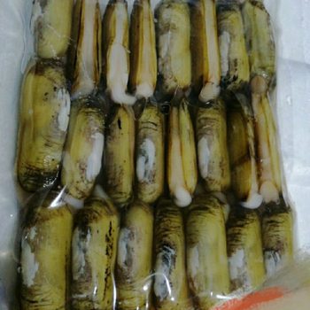 New Arrivals of Fresh Frozen Original Shells with Sand, Small Fairy Razor Clams, Sixty-Year-Old Clams, Shellfish, Seafood Hotel Ingredients