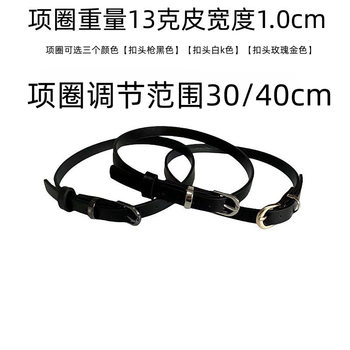 New Summer Niche Thin Necklace Black Choker Girls Daily Versatile Short Collar Normcore Neck Ring