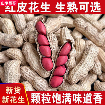 2024 Fresh Red-Skinned Peanuts, Original Flavor Cooked Peanuts in Bulk, Small Dried Peanuts, Four-Pack Red Roasted Nuts Packaging