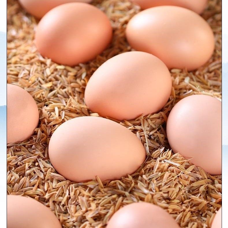 Wanweibao Newborn Eggs 40 Pieces * 40g Fresh Eggs Farm-Raised Free-Range Eggs 6 Pieces 20 Pieces