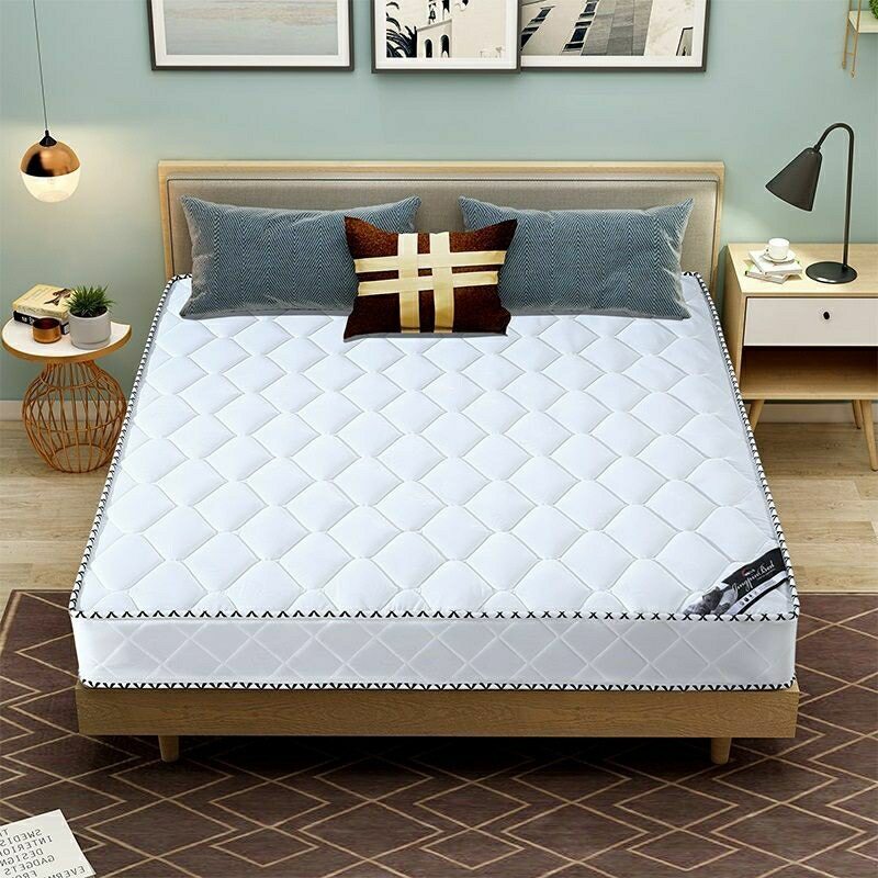 Mattress Soft and Hard Dual-Purpose Thick. Mi. Household Double Economical Coconut Palm Spring Direct Sales Wholesale