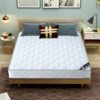Mattress Soft and Hard Dual-Purpose Thick. Mi. Household Double Economical Coconut Palm Spring Direct Sales Wholesale