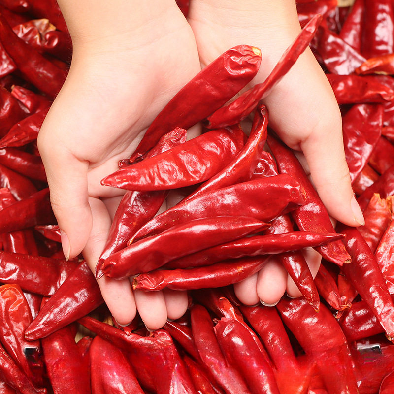 Slightly Spicy and Fragrant Guizhou Huaxi Chili Dried Chili Red Pepper Not Spicy and Fragrant 500g