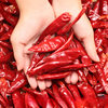 Slightly Spicy and Fragrant Guizhou Huaxi Chili Dried Chili Red Pepper Not Spicy and Fragrant 500g