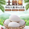 Farmhouse Goose Eggs, 6 Pieces, 80-100g, Fresh Eggs on the Day, Free-Range Goose Eggs, Great for Removing Toxins, Fresh for Pregnant Women
