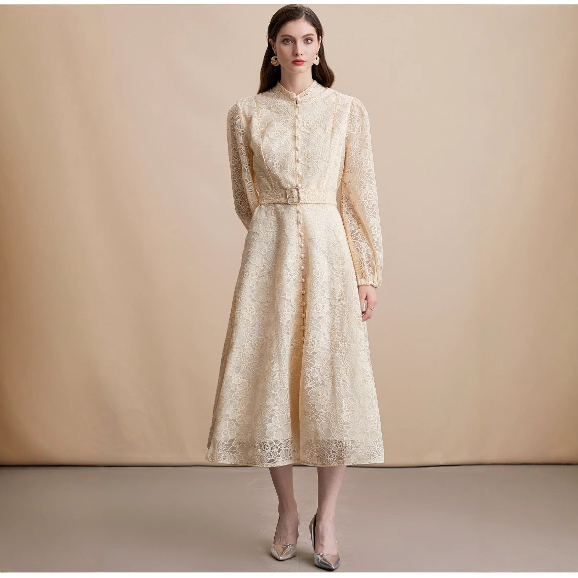 Elegant French Style Lace Embroidered Dress Stand Collar Button Closure Waist Defined Flared Skirt Autumn Fashion
