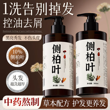 Hot sale Chinese herbal natural plant Platycladi leaf shampoo for hair nourishing ginger oil control dandruff shampoo for hair replacement