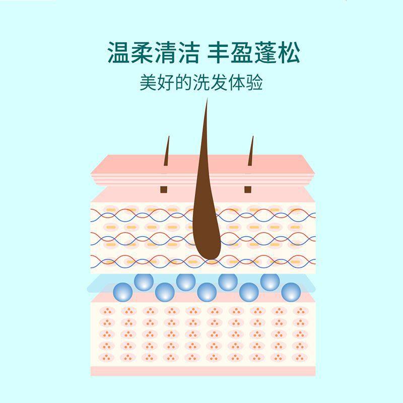 Green Leaf Love Life Kali Shi Refreshing Fluffy Shampoo Oil Control Fluffy Improve Fluffy Deep Cleansing Large Capacity