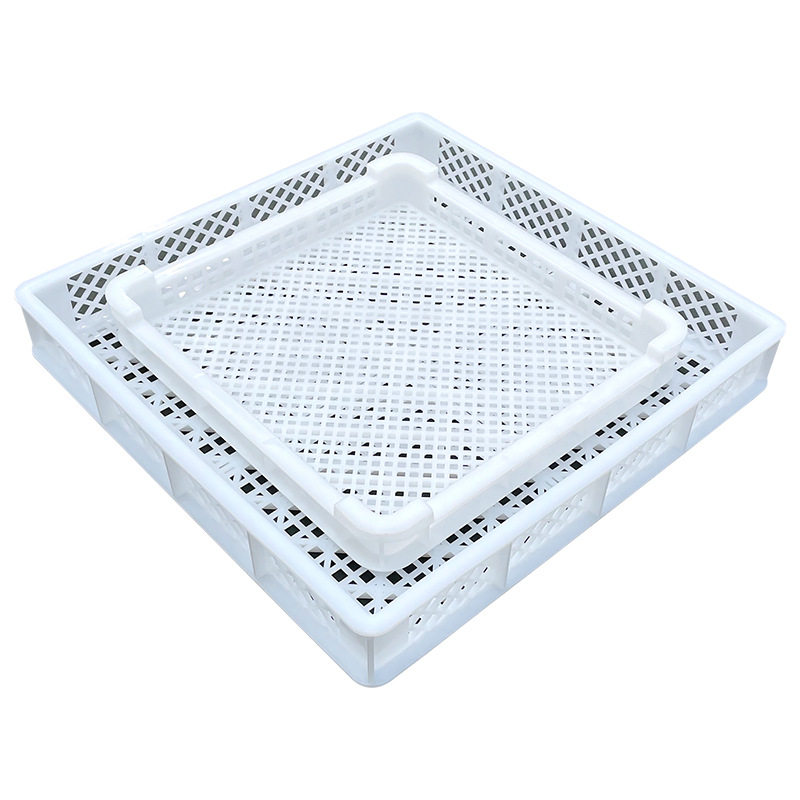 Factory plastic basket food drying basket drying tray drying tray jujube sea cucumber herbal tray plastic single freezer