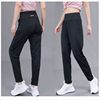 Yoga Sports Trousers Women's Autumn and Winter Running Pants Quick-drying High Waist Back Waist Zipper Bag Fitness Loose Fleece-Lit Pants