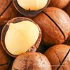 New Arrival Macadamia Nuts Wholesale 500g Containing Packaged Creamy Extra Large Granular Dried Fruits Whole Box Bulk Snacks