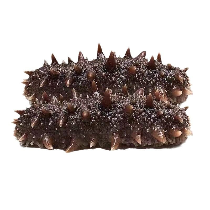 Ready-To-Eat Sea Cucumber Single Pack Instant Dalian Haishenliao Sea Cucumber Sea Fresh Live Instant Sea Cucumber Gift Box