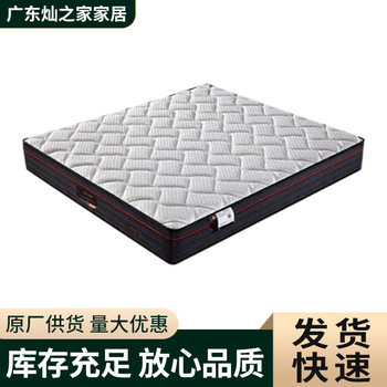 New Latex Independent Spring Mattress Simmons Coconut Palm Soft and Hard Dual-Use Hotel Home Mattress Bedroom Furniture