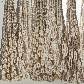 Long Shell Necklace Bracelet Conch Jewelry Props Night Market Stall Supplies Crafts Shell Pieces Coral