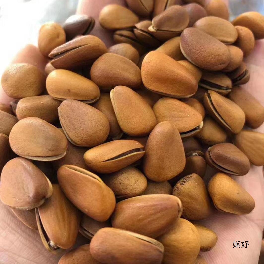 Free Shipping, 25 Years of Experience, Large Whole Pine Nuts, Pre-Opened, Northeastern Hand-Peeled Red Pine Nuts, Bulk Nuts, Snacks 2.5kg