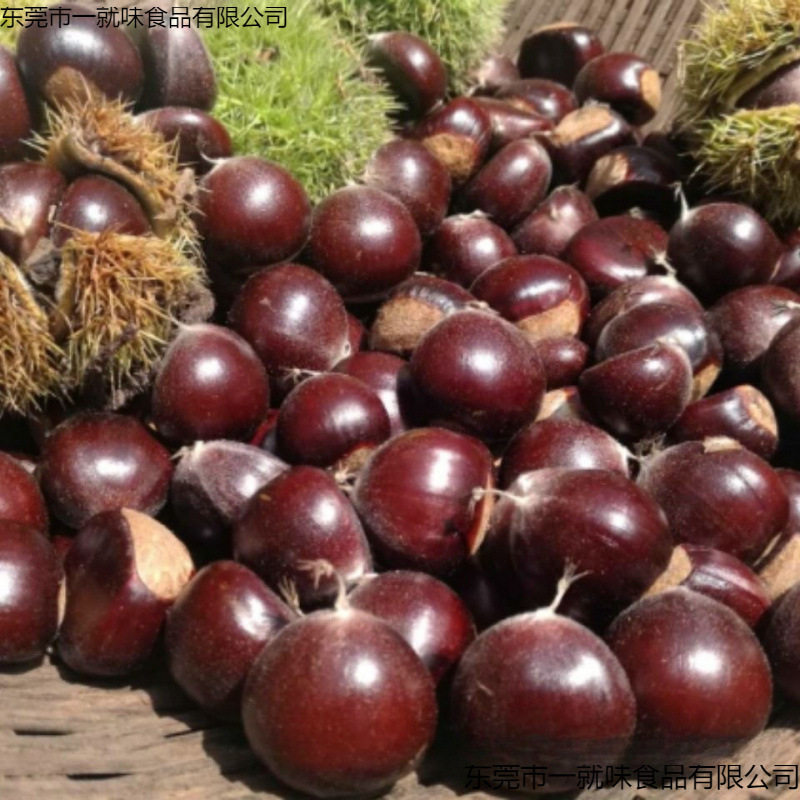 Fresh Dandong Chestnuts, Fresh Chestnuts, Tender Large Chestnuts, Wild Yanshan Chestnuts, Oil Cone Chestnuts