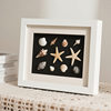 Handmade DIY Photo Frame Stereo Hollow Specimen Table Decoration Frame Shell Stone Plant Dried Flower Preservation Display Frame
