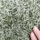 Новый чай 2025 года Shu Mingrun 250 г сычуаньского зеленого чая Biluochun в пакетиках Yunwu Green Tea one piece от имени mini 21