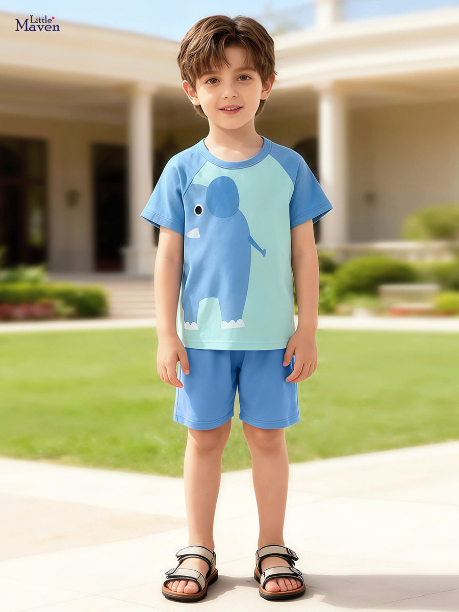 Summer Boys' Short-sleeve Set, [Style] Kids' 2-piece Outfit, Casual Baby Children's Clothing