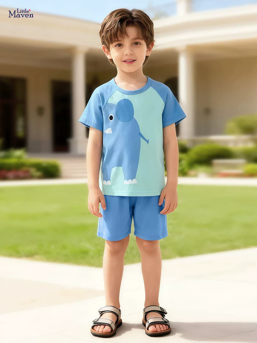 Summer Boys' Short-sleeve Set, [Style] Kids' 2-piece Outfit, Casual Baby Children's Clothing