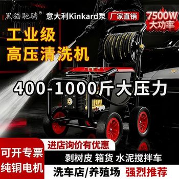 Black Cat High-Pressure Car Washing Machine, Industrial-Grade Cleaning Machine, Commercial Super-Pressure Floor Washing Water Gun, Car Wash Shop, Farm Grab