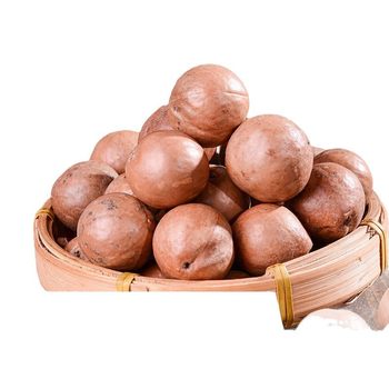 Macadamia Nut Milk Flavor 26mm 450g Canned Dried Fruit Factory Direct High-Fiber Hainan Direct Delivery Nuts