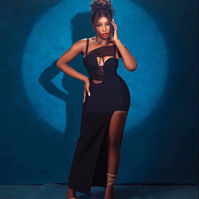 Sleeveless Mesh Panel Midi Dress Solid Color Hollow Out Side Slit Bodycon Fit Evening Wear Party Dress