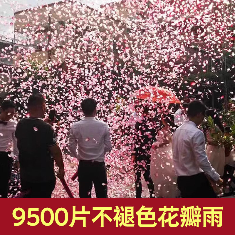 Petal Salute, Wedding Petals, Rain Gift Tube, Fireworks Tube, Wedding Spray Tube, Wedding Supplies, Hand-Held Ribbon