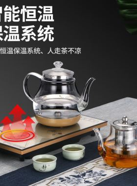 全自动上水壶新飞中国大陆