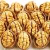 Xinjiang 185 Paper-Skinned Walnuts Wholesale Large Size 500g Bagged Easy to Peel Delicious Nutritious Thin-Skinned Fresh Walnuts