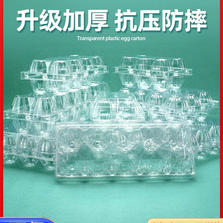 Wholesale Plastic Egg Tray Disposable Transparent Egg Tray Egg Box Packaging Box Storage 30 Pieces Factory Direct Sale