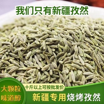 Xinjiang Cumin Seeds Bulk Wholesale Skewer Spices Barbecue Lamb Skewers Stir-Fry Ingredients Seasoning Spices Skewer Seasoning