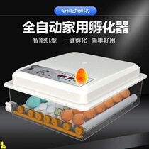 Incubator Fully Automatic Small Household Type Intelligent Hatchery Duck Goose Home Luding Small Egg Incubator