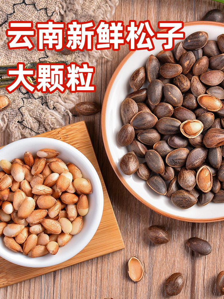 Fresh Raw Pine Nuts Large Particles Original Wild Collection 2024 New Arrival Yunnan Pine Nuts Snacks for Pregnant Women Nuts Specialty