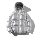 Silver hooded
