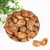 New Arrival Almond Wholesale Hand-Peeled Milky Ginkgo Nuts New Year Snacks Thin Skin