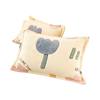 Milk Velvet Pillowcase Coral Velvet Pillowcase Winter Pillowcase Printed Single Dormitory Home Double Pair