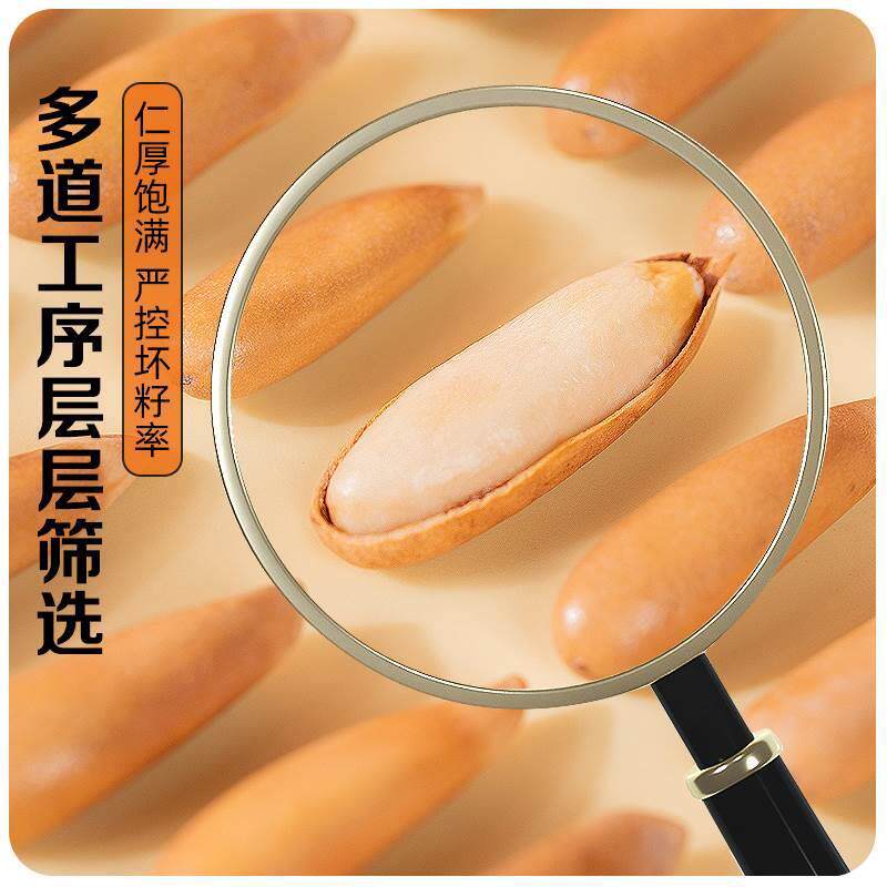 Brazilian Pine Nuts New Stock, Brazilian Pine Nuts in Bulk, Afghan Kernels